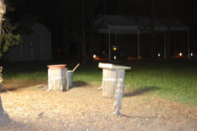 135 Night Feeder 4