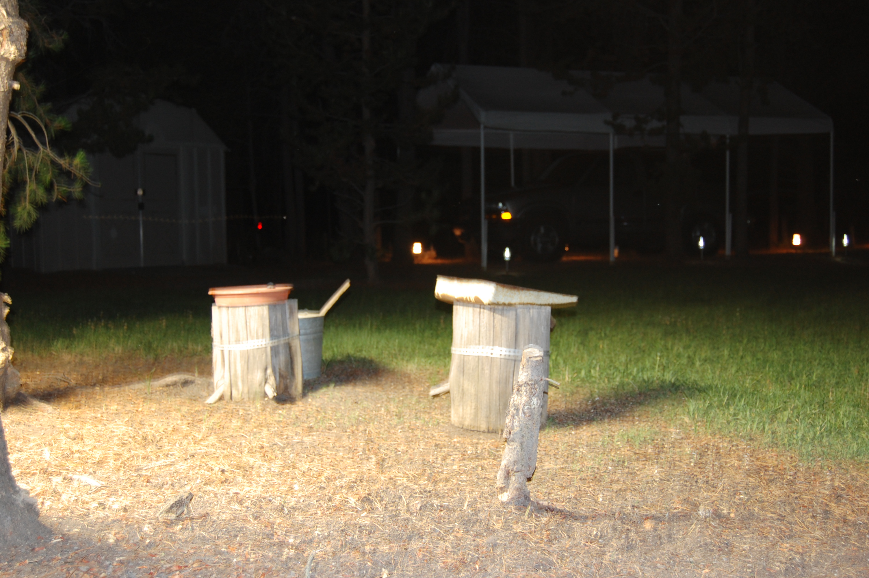 135 Night Feeder 4