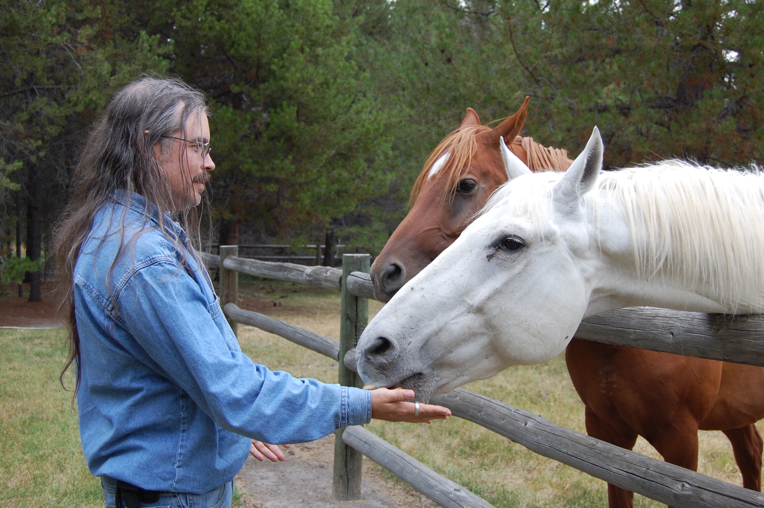 144 Horses and Me 1