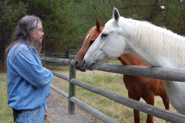146 Horses and Me 2
