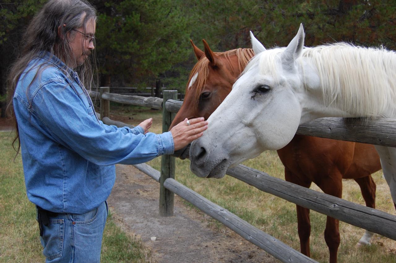 147 Horses and Me 3