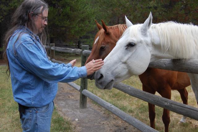 147 Horses and Me 3