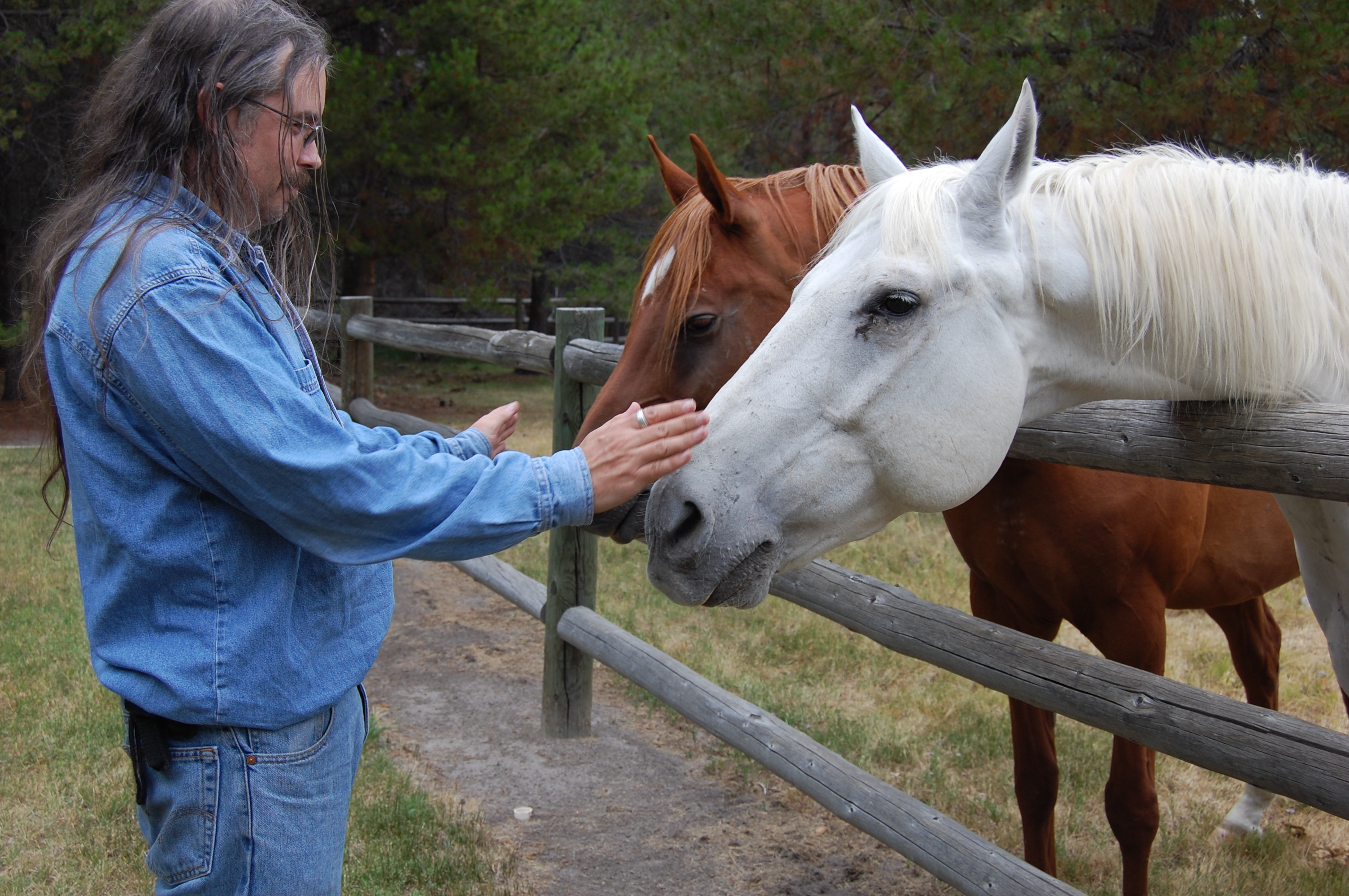 147 Horses and Me 3