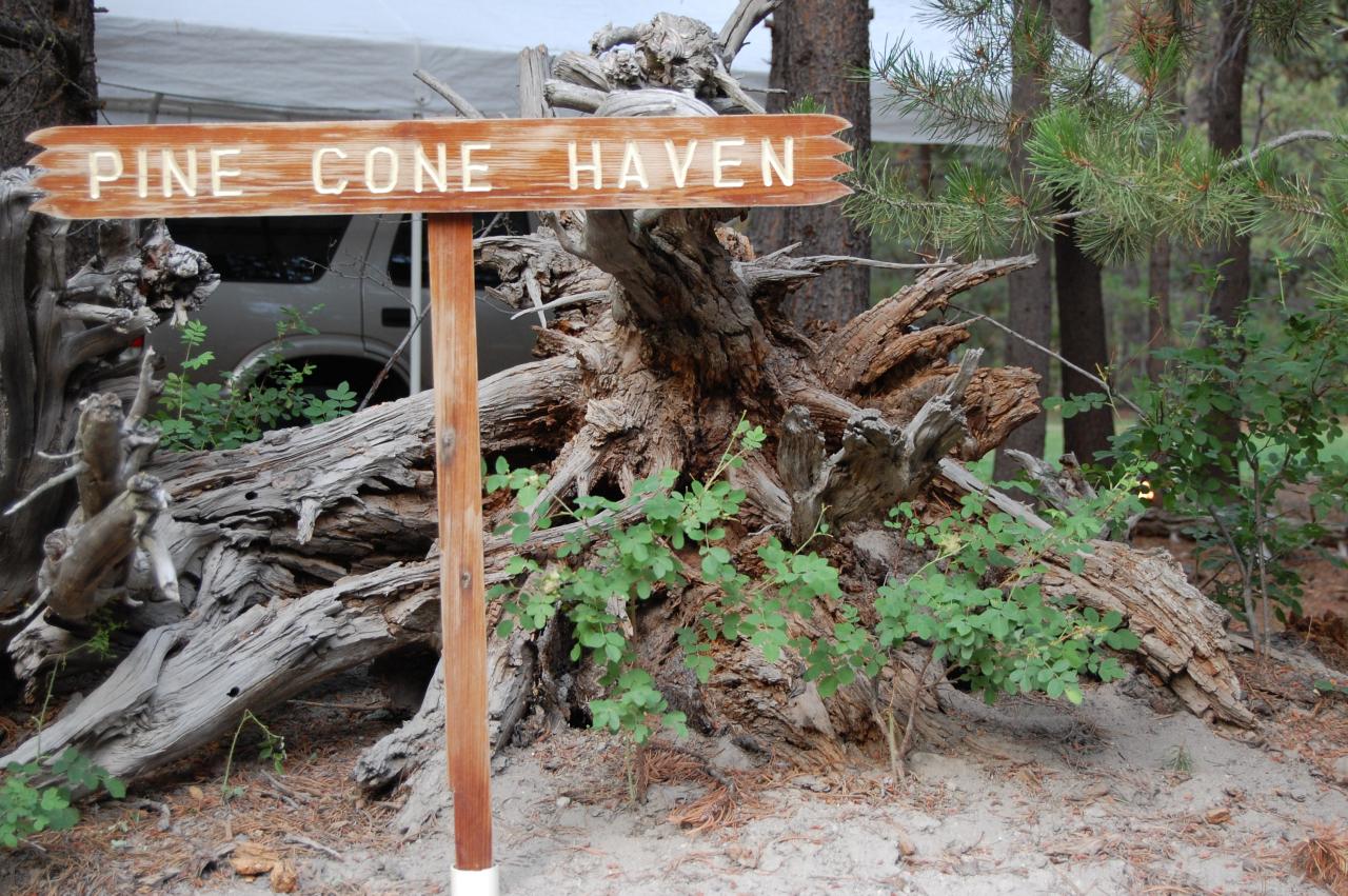 151 Pine Cone Haven