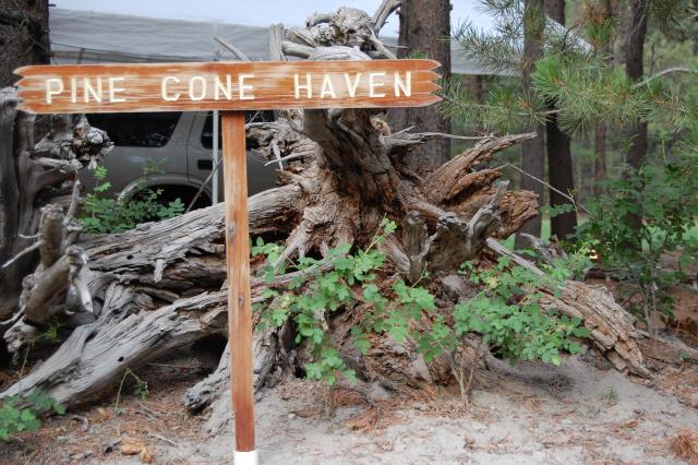 151 Pine Cone Haven