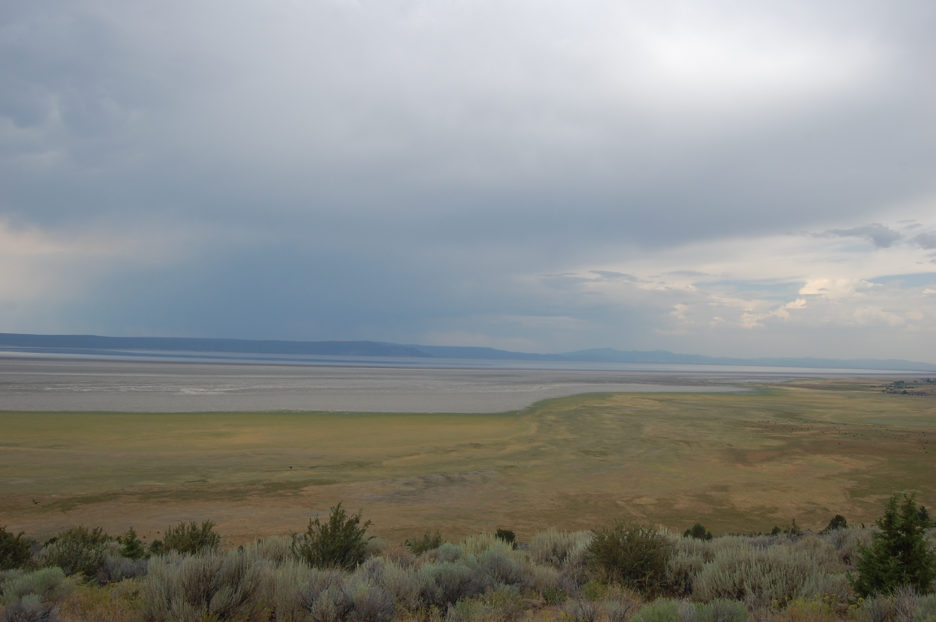 170 Goose Lake 395 2