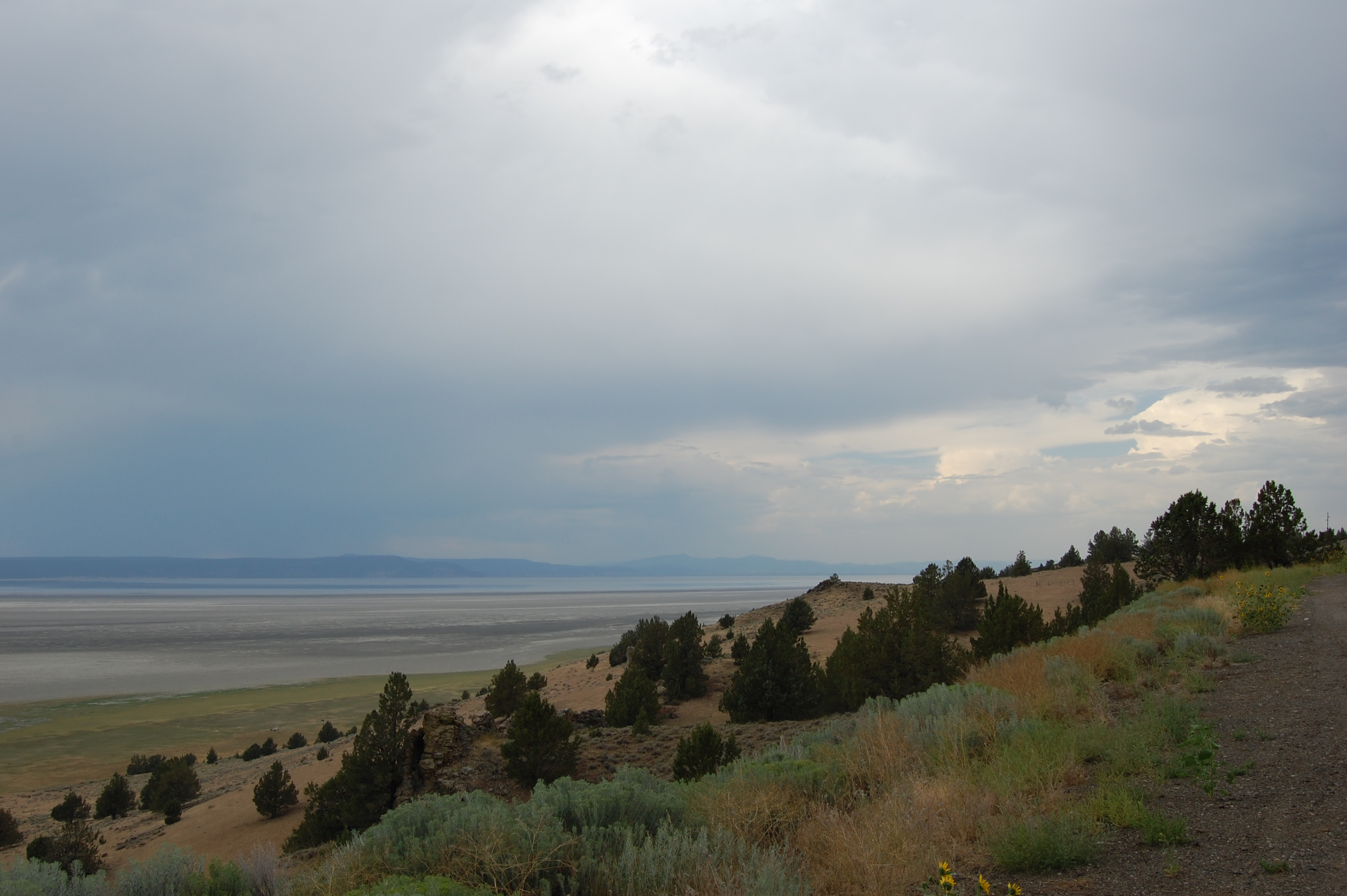 172 Goose Lake 395 4