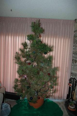 Tree2